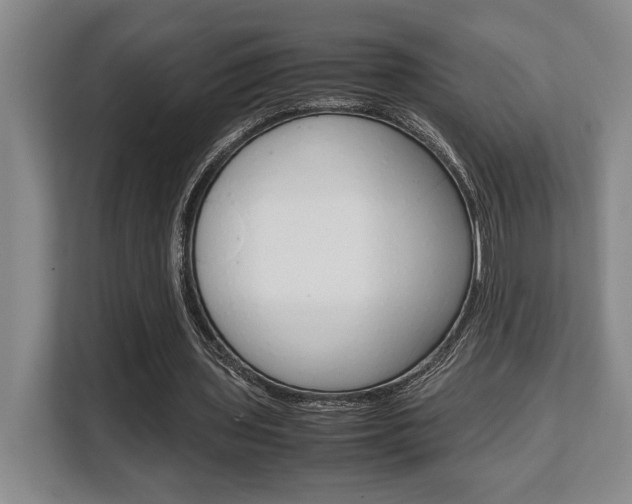 X0000108480435200904031122