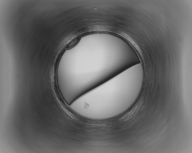 X0000108480437200904031122