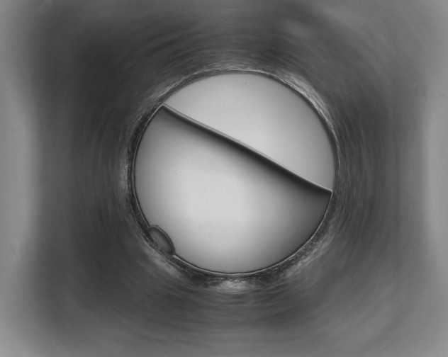 X0000108480441200904031122