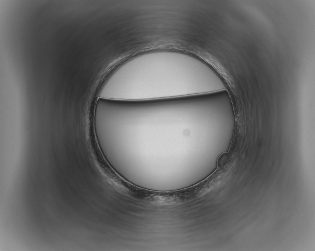 X0000108480442200904031123