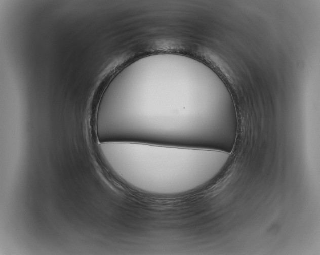 X0000108480443200904031123