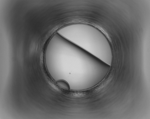 X0000108480445200904031123