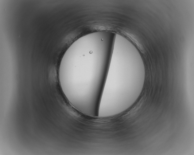 X0000108480453200904031123