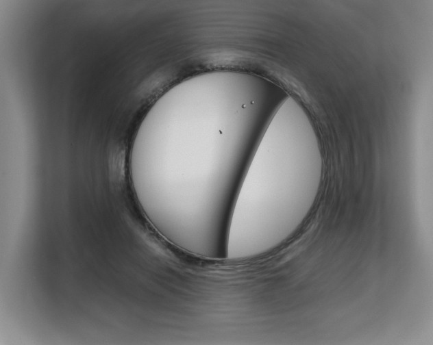 X0000108480454200904031123