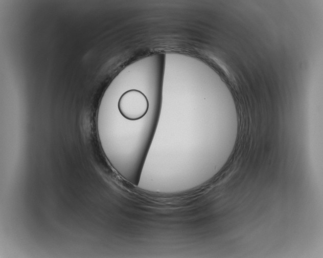 X0000108480455200904031123