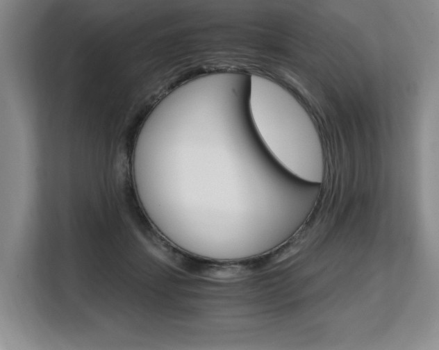X0000108480459200904031123