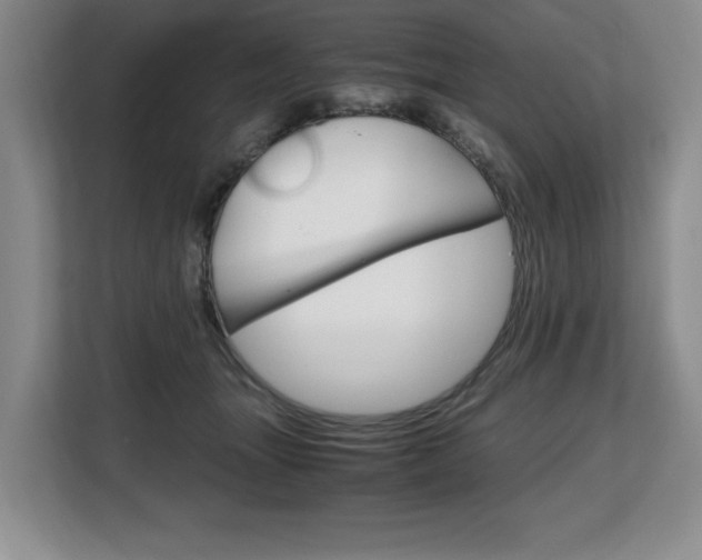 X0000108480463200904031123