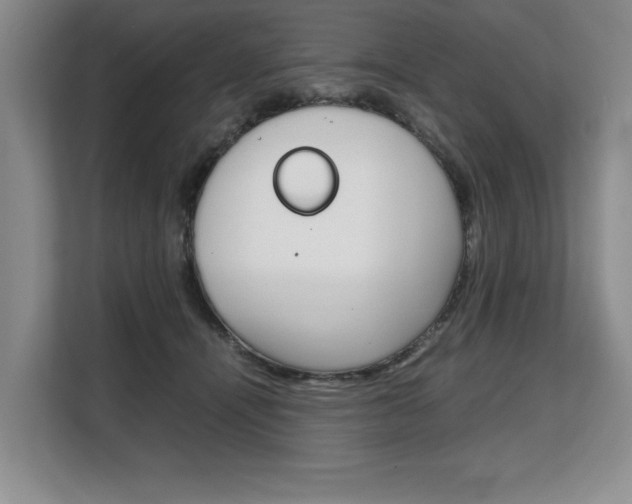 X0000108480464200904031123
