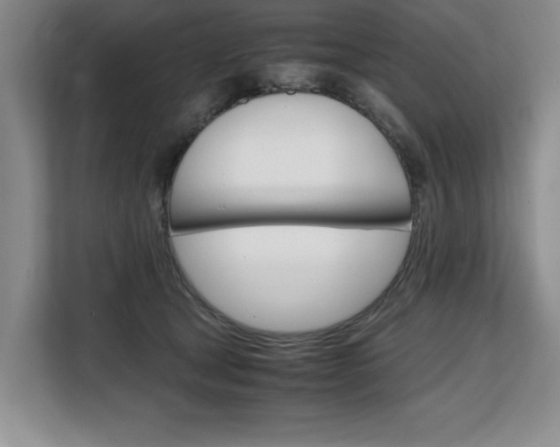 X0000108480465200904031123
