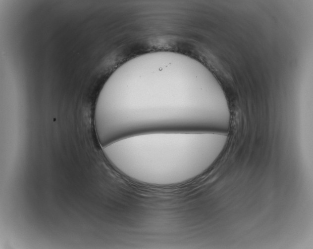 X0000108480466200904031123