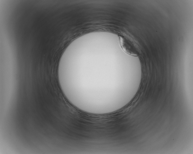 X0000108480469200904031123
