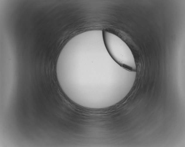X0000108480470200904031123