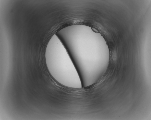 X0000108480475200904031123