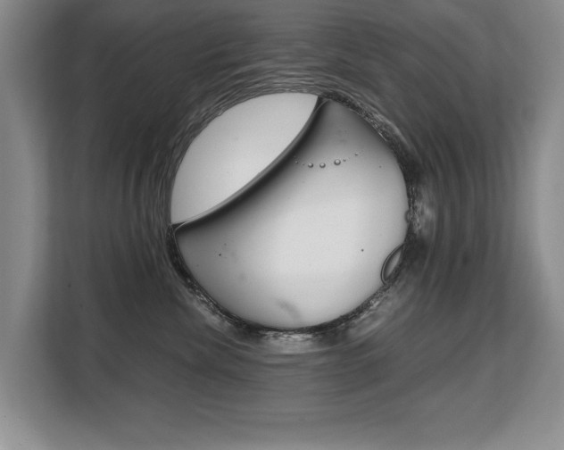 X0000108480476200904031123