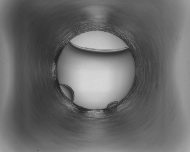 X0000108480480200904031123