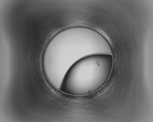 X0000108480485200904031122