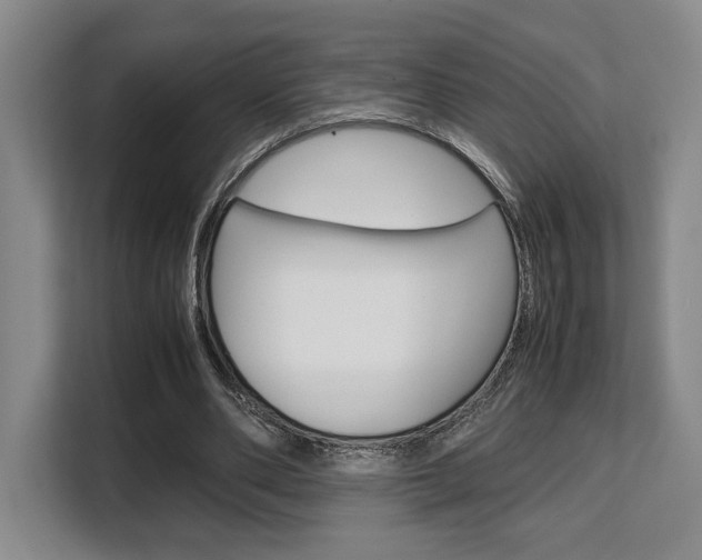 X0000108480486200904031122
