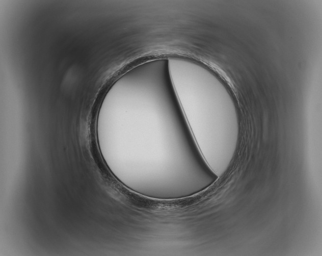 X0000108480487200904031122