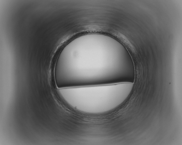 X0000108480488200904031122