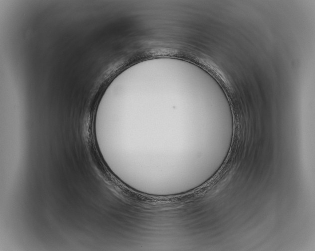 X0000108480490200904031122
