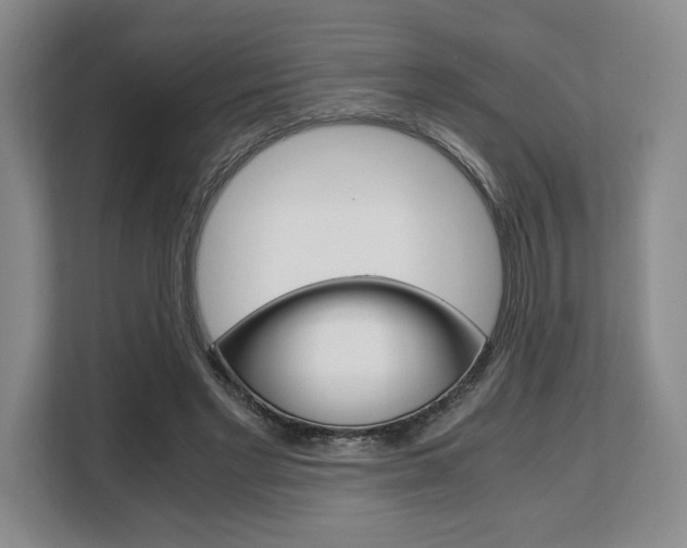 X0000108480493200904031122