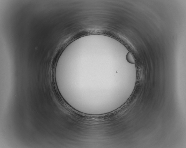 X0000108480494200904031122