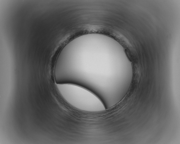 X0000108480496200904031122