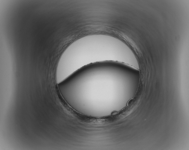X0000108480497200904031122
