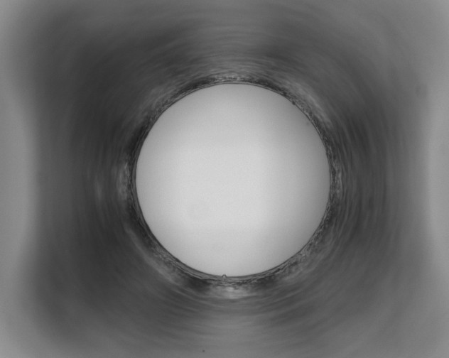 X0000108480498200904031122