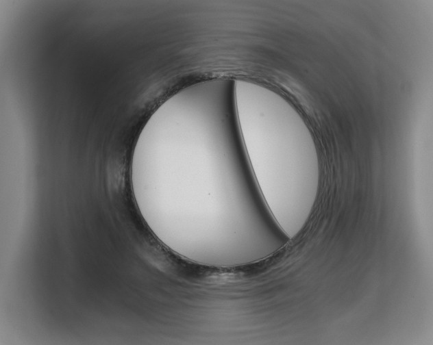 X0000108480499200904031122