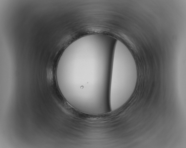X0000108480500200904031122