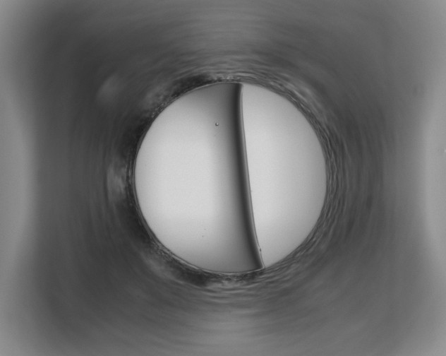 X0000108480503200904031122