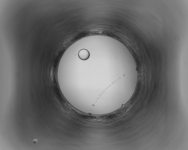 X0000108480504200904031122