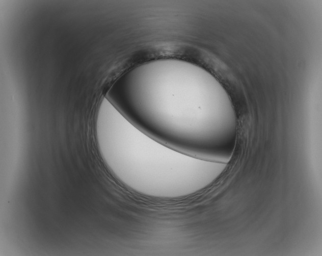X0000108480509200904031122