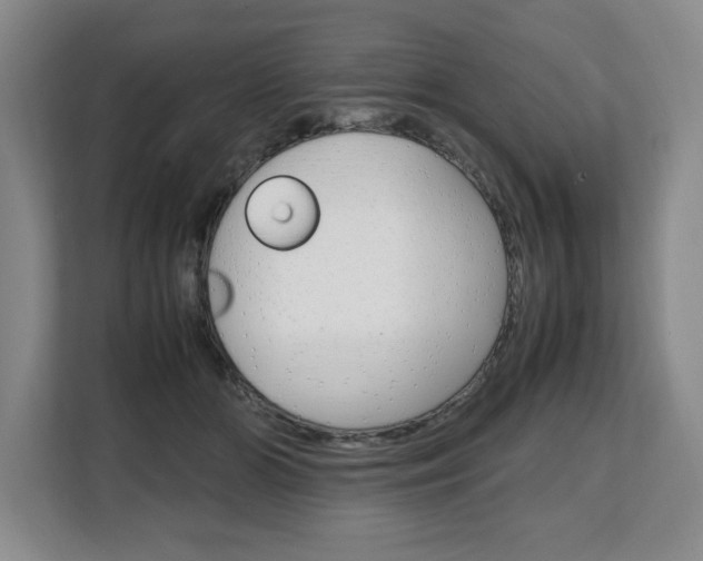 X0000108480510200904031122