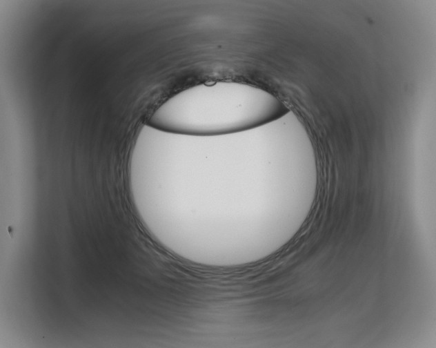 X0000108480511200904031122