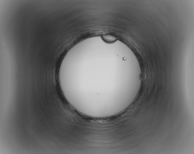 X0000108480512200904031122