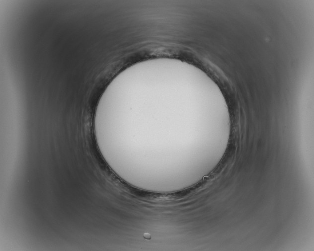 X0000108480513200904031122