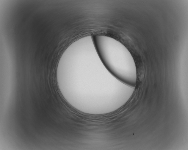 X0000108480515200904031122