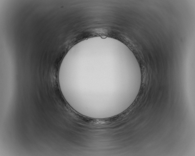 X0000108480518200904031122