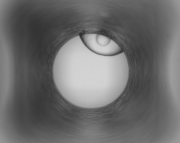 X0000108480519200904031122