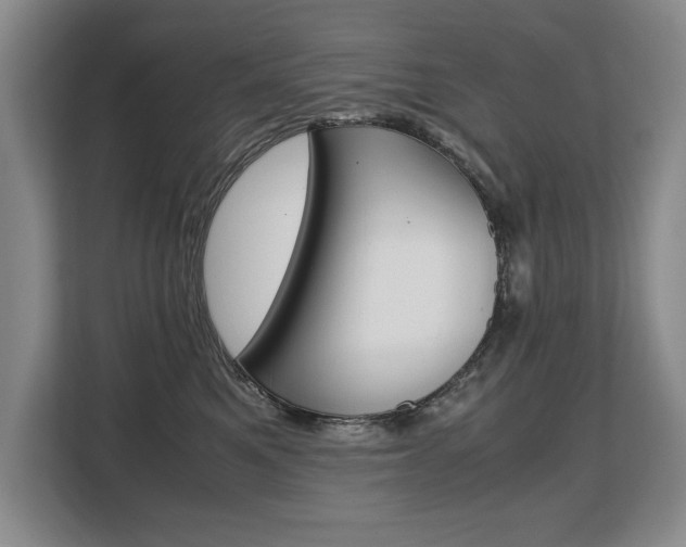 X0000108480521200904031122