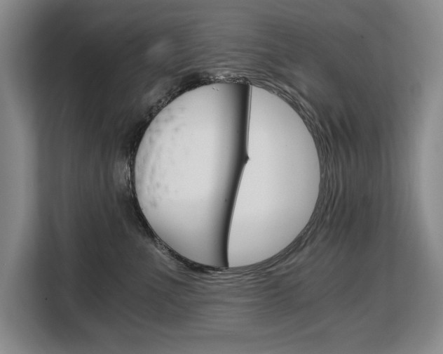 X0000108480523200904031122
