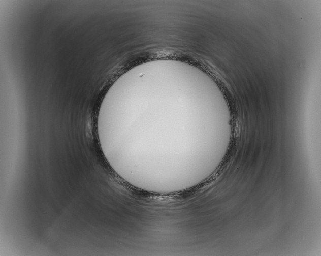 X0000108480524200904031122