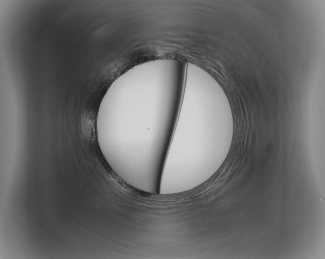 X0000108480527200904031122