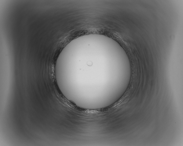 X0000108480528200904031122