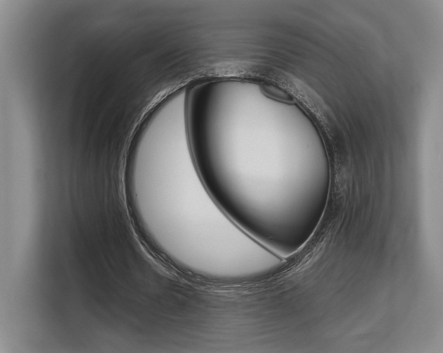 X0000108480530200904031121