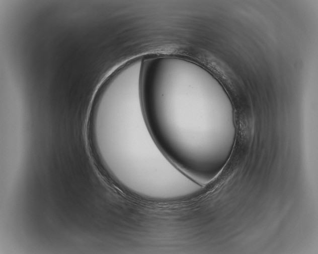 X0000108480532200904031121