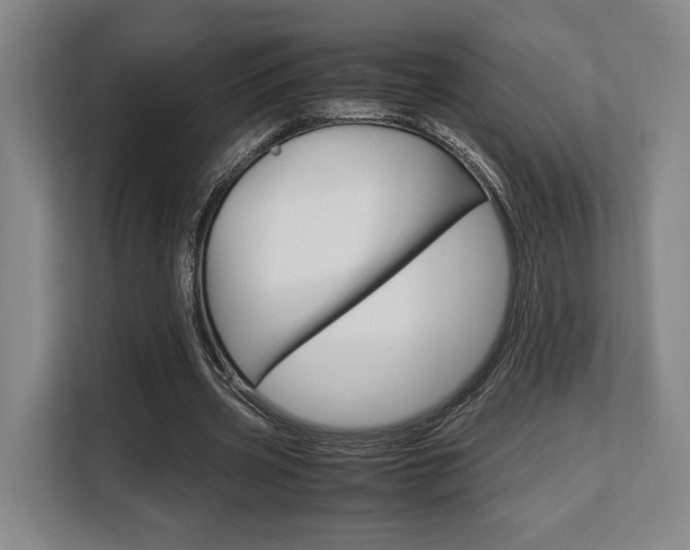 X0000108480533200904031121