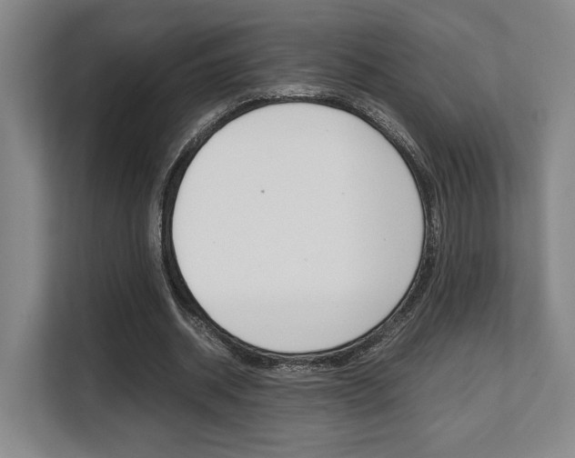 X0000108480534200904031121